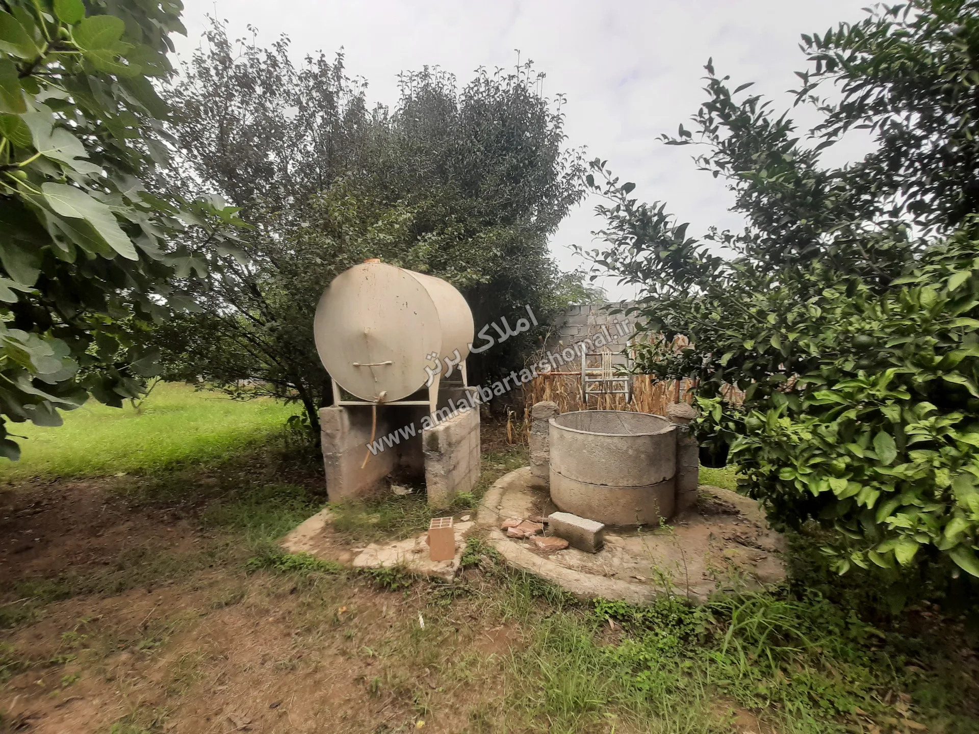 فروش باغ ۱۰۰۰ متری در روستای قادیکلا 6