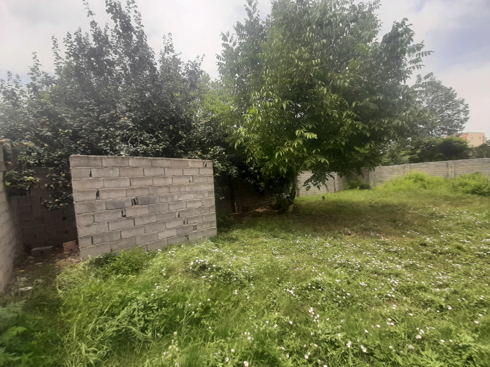 فروش زمین ۲۶۰ متری 2